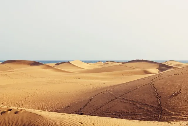 https://viajaen.es/viajes/assets/upload/d31.webp