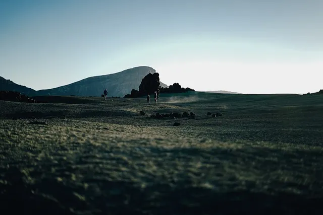 https://viajaen.es/viajes/assets/upload/d53.webp
